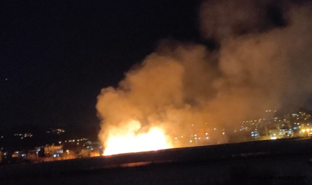 Alanya’da çalı yangını korkuttu