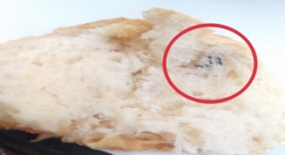 Alanya’da ekmekten ne olduğu bilinmeyen cisim çıktı