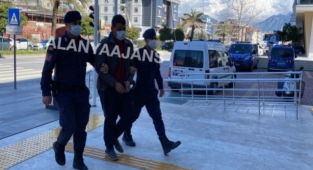 Alanya’da evinin bahçesinde kenevir yetiştiren genç yakalandı