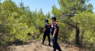 Alanya’da jandarma cezaevi firarisini ormanda yakaladı 