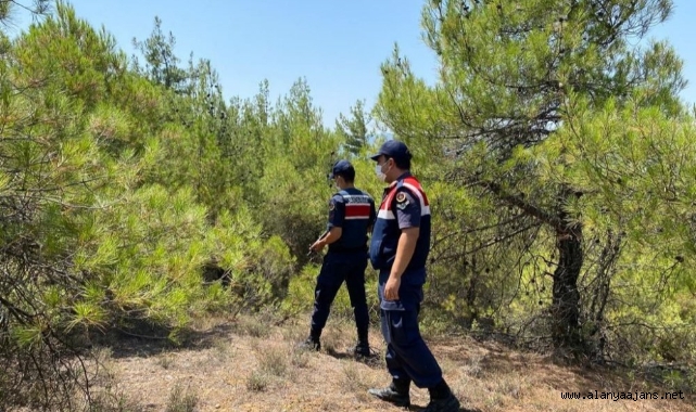 Alanya’da jandarma cezaevi firarisini ormanda yakaladı