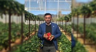 Alanya'da mazot ve gübre desteği takvimi açıklandı!