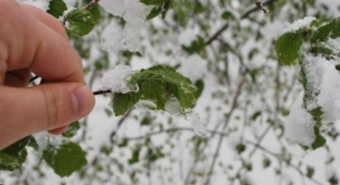 Alanya'da zirai don ve karla karışık yağmur uyarısı