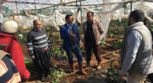 Başkan Göktepe, fırtına sonrası üreticiyi yalnız bırakmadı