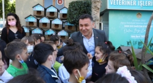 Alanya Belediyesi’nden hayvanseverlere kedi evi jesti