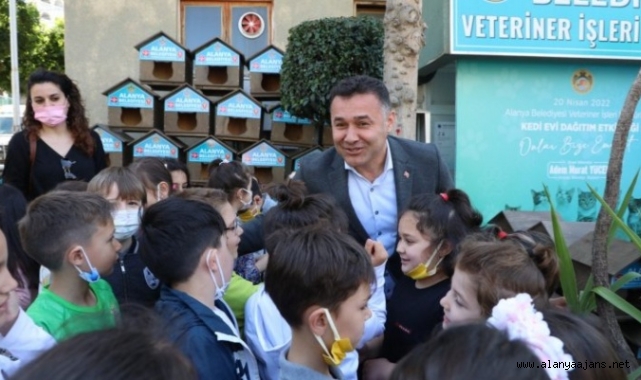 Alanya Belediyesi’nden hayvanseverlere kedi evi jesti