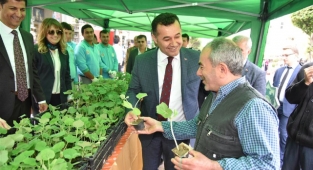 Alanya Belediyesi su kabağı fidesi dağıtacak