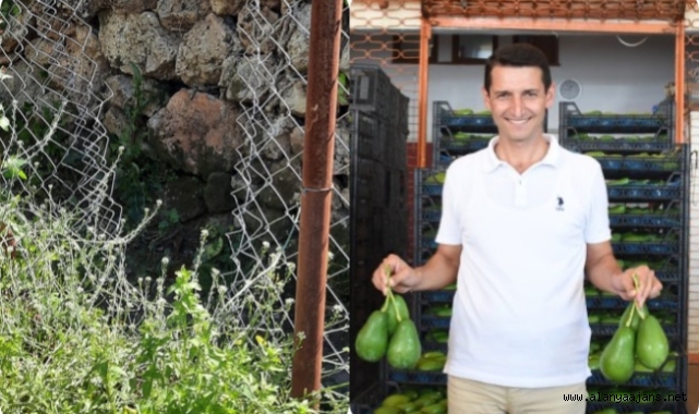 Alanya'da Başkan Sevilgen isyan etti!