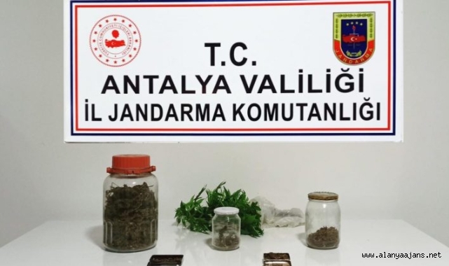 Alanya'da jandarmadan uyuşturucu operasyonu