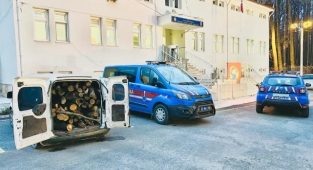 Alanya'da odun hırsızlarını jandarma yakaladı