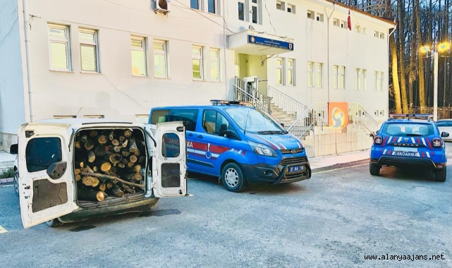 Alanya'da odun hırsızlarını jandarma yakaladı