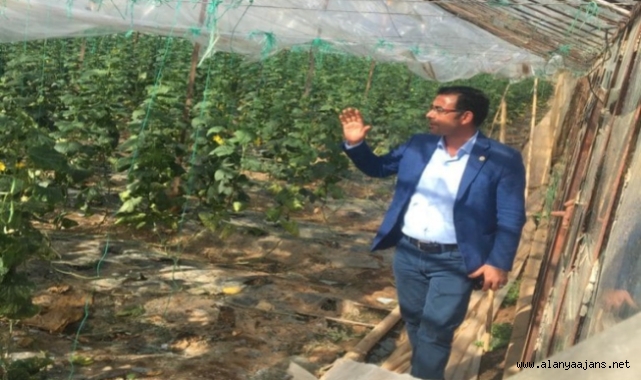 Alanya'da seralar zarar gördü