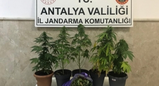 Alanya’da Suriyelilere uyuşturucu baskını