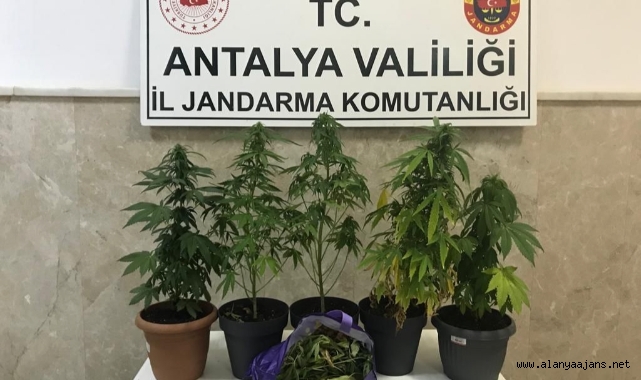 Alanya’da Suriyelilere uyuşturucu baskını