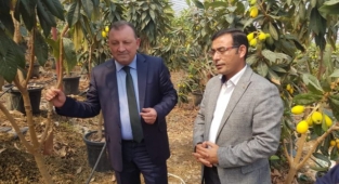 Alanya yenidünyasında hasat zamanı