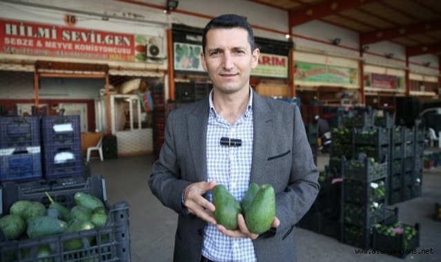 Sevilgen’den Alanya tarımına yön verecek tavsiye