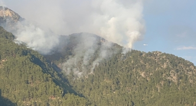 Alanya'da çıkan orman yangını kontrol altına alındı