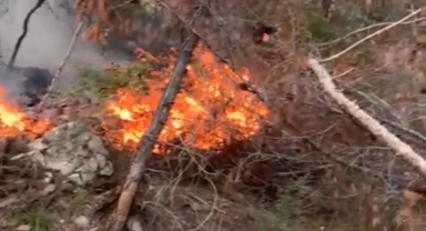 Alanya’da orman yangını