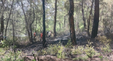 Alanya’da ormanlık alanda yangın