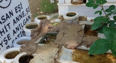 Alanya'da 'pes' dedirten olay!