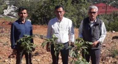 Alanya Ziraat Odası’ndan örnek bahçe atağı