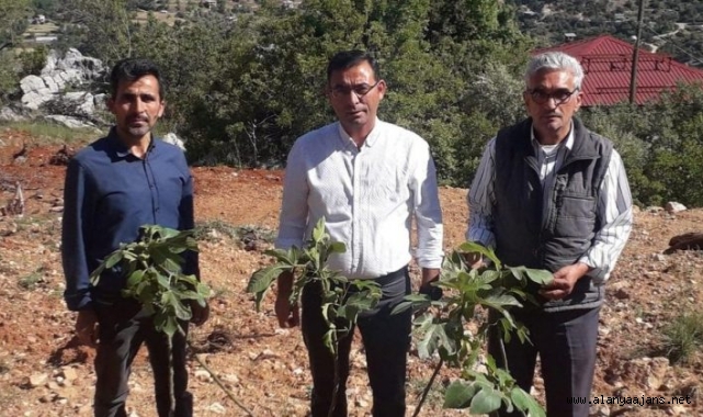 Alanya Ziraat Odası’ndan örnek bahçe atağı