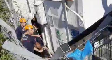 Alanya'da kurbanlık teke kurtarma operasyonu