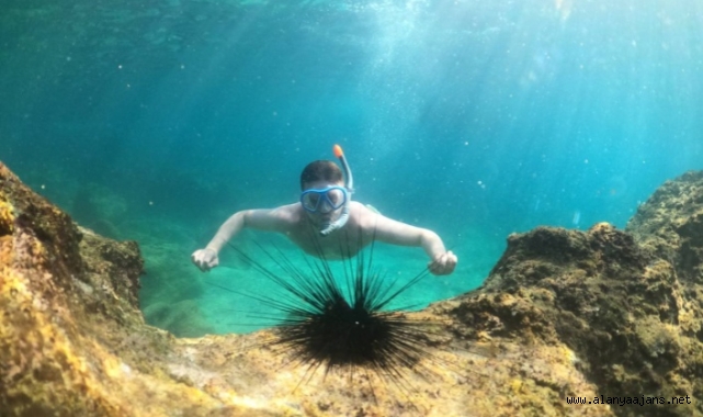 Alanya´da sualtı canlıları turistlerin ilgi odağı oldu