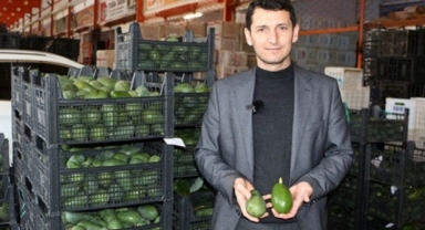 Sevilgen’den yeni iş ve maaş önerisi