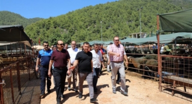 Alanya Belediyesi’nin Kurban Satış Yeri hizmete girdi