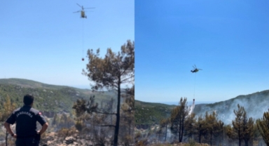 Alanya’da çıkan yangında 20 dönümlük alan zarar gördü