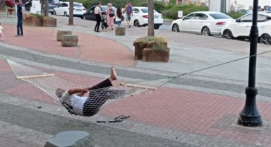 Alanya'da ağaçlara hamak kurup uyudu