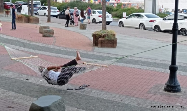 Alanya'da ağaçlara hamak kurup uyudu