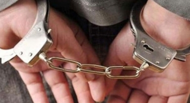 Alanya’da avokado hırsızına jandarmadan suçüstü