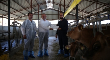 Alanya’da hastalıktan arı hayvancılık dönemi başladı