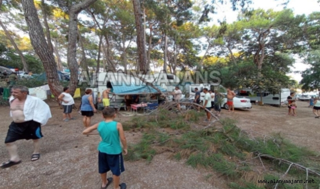 Alanya’da kırılan ağaç dalı karavananın üzerine düştü