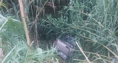 Alanya’da kontrolden çıkan kamyonet sazlığa uçtu