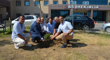 Alanya'da sağlığına kavuşan hastalar adına zeytin ağacı dikildi
