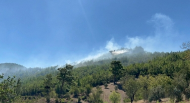 Alanya'da çıkan orman yangını kontrol altına alındı