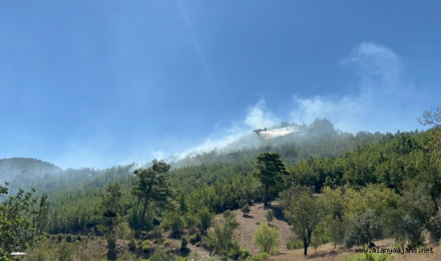 Alanya'da çıkan orman yangını kontrol altına alındı