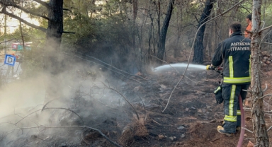 Alanya’da çıkan orman yangını kontrol atlına alındı