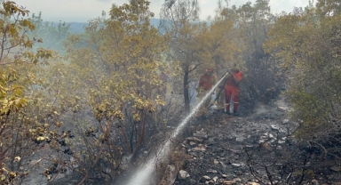 Alanya’da çıkan orman yangını söndürüldü