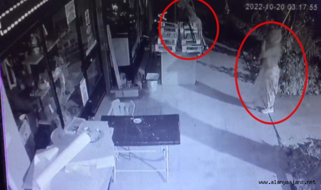 Alanya’da 2 kadının yaptığı hırsızlık kamerada