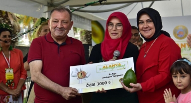Alanya’da en ağır avokado yarışmayla seçildi