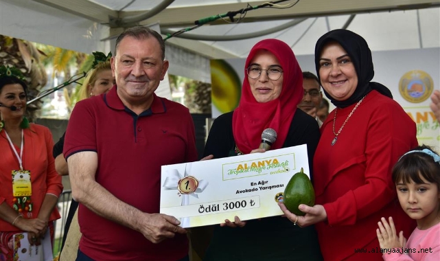 Alanya’da en ağır avokado yarışmayla seçildi
