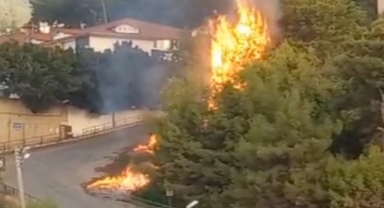 Alanya’da korkutan yangın