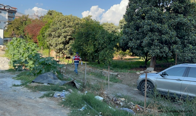 Alanya’da limon bahçesinde ölü erkek cesedi bulundu