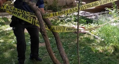 Alanya’da zeytin ağacından düşen adam öldü