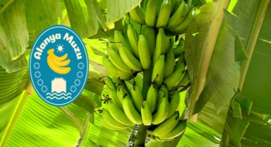 Alanya muzunun yeni logosu belli oldu