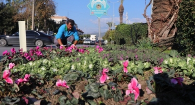 Alanya çiçeklerle donatılıyor